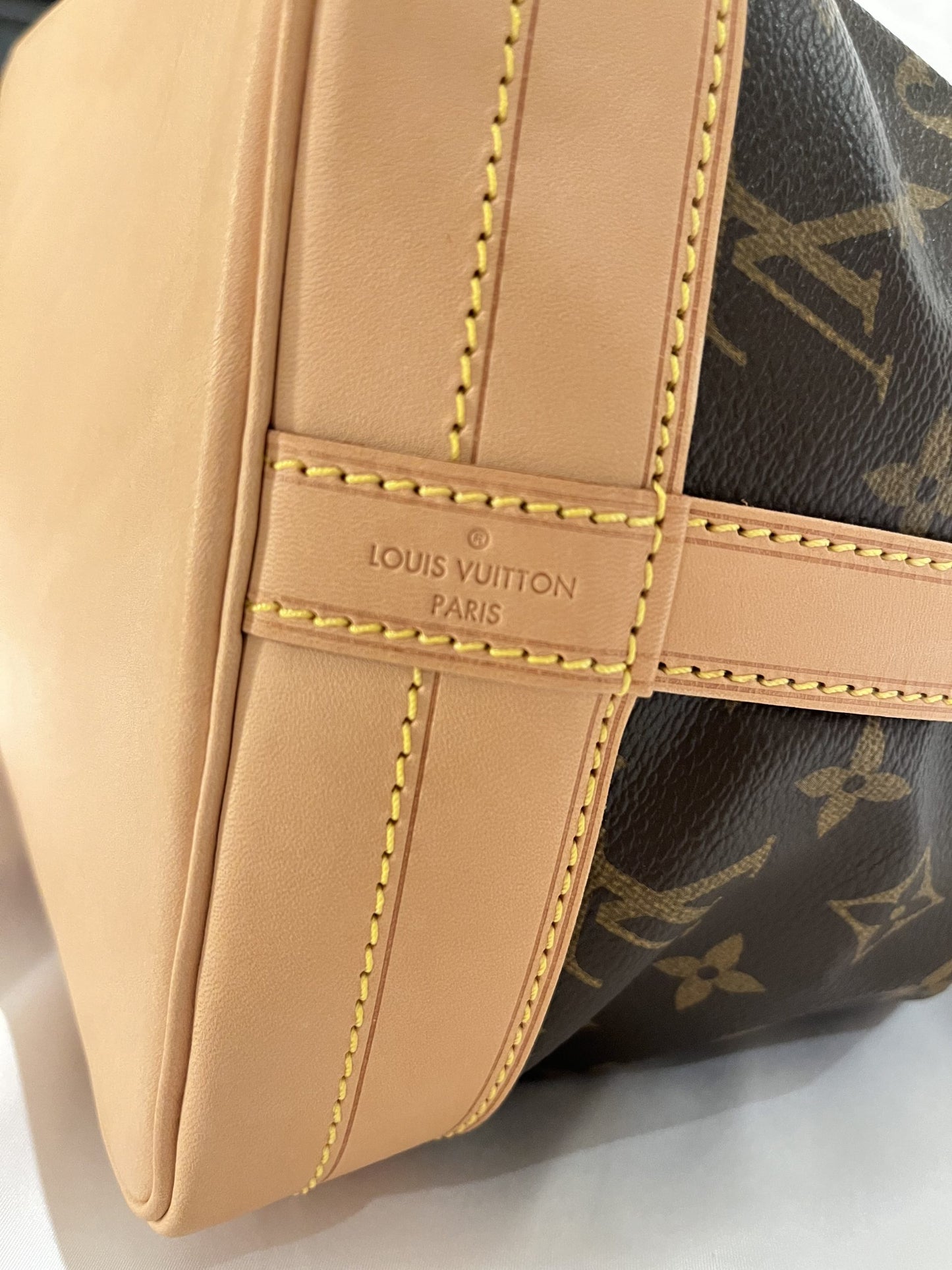 Louis Vuitton Noé Monogram Bucket Bag