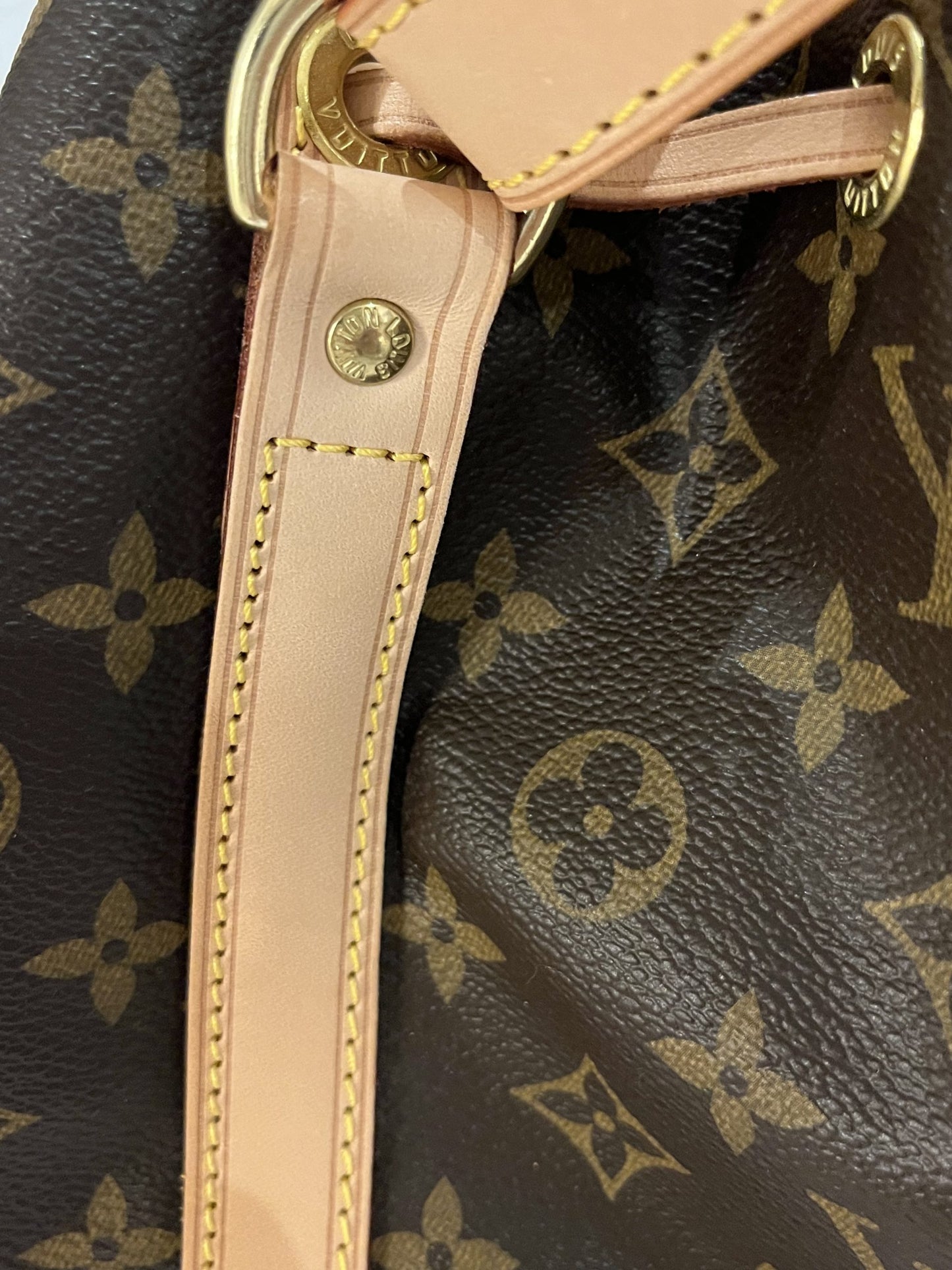 Louis Vuitton Noé Monogram Bucket Bag