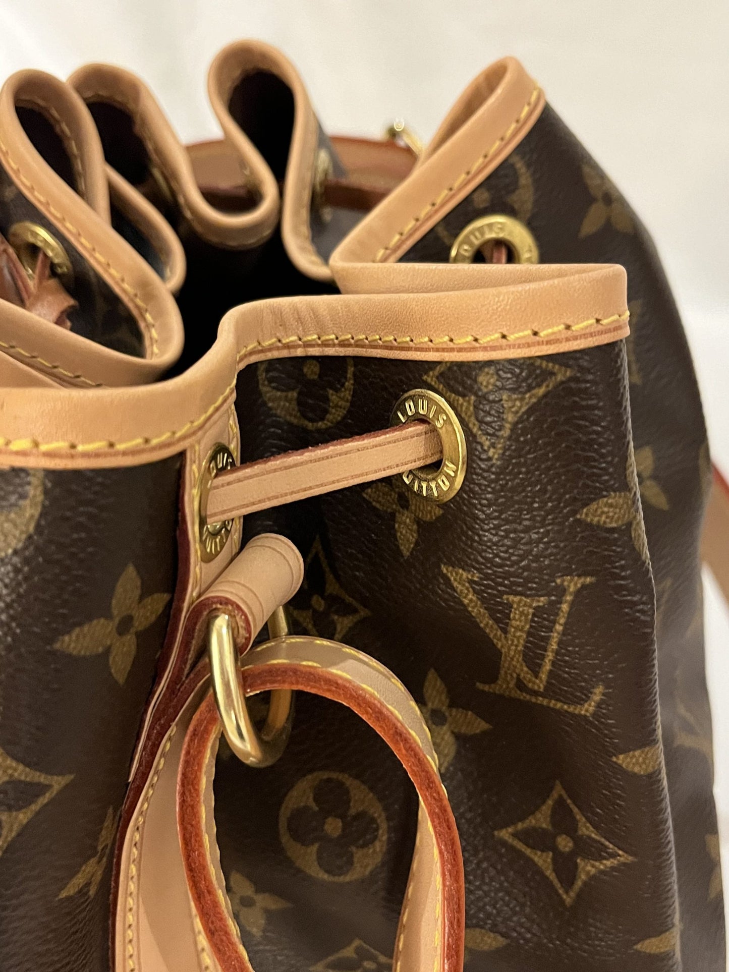 Louis Vuitton Noé Monogram Bucket Bag