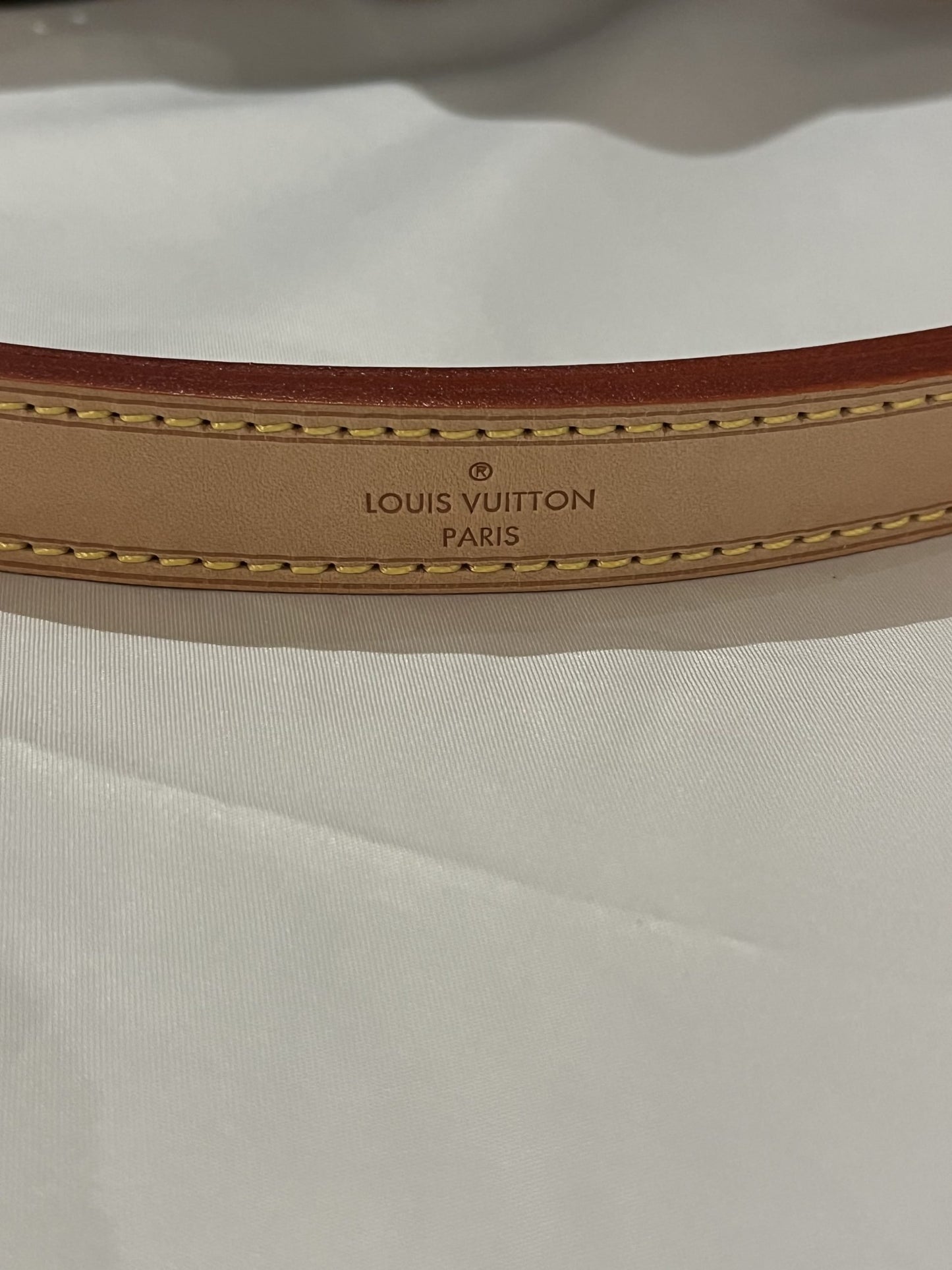 Louis Vuitton Noé Monogram Bucket Bag