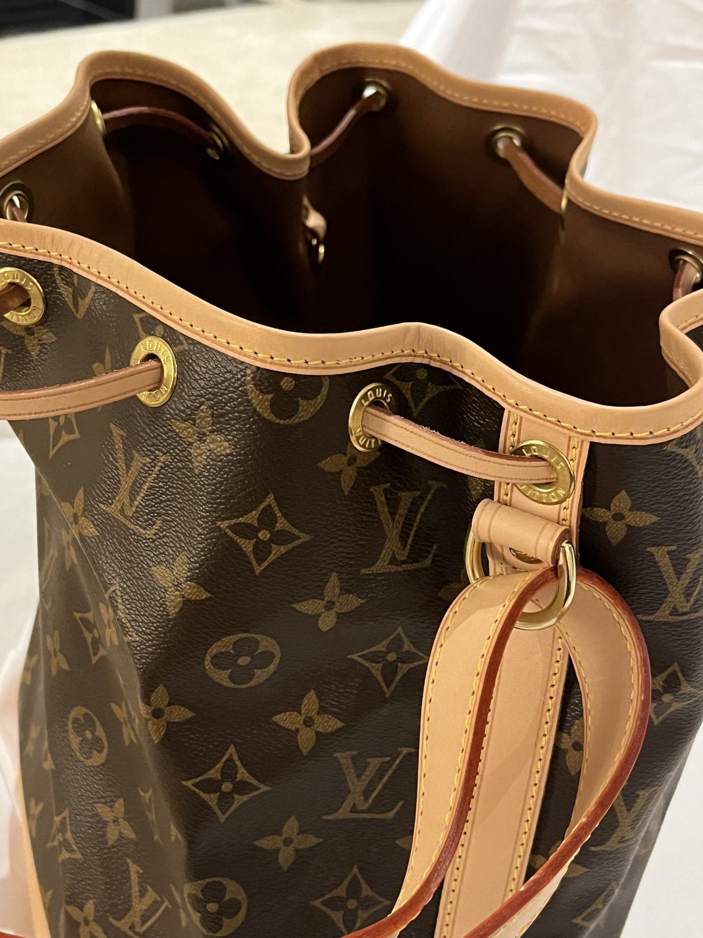 Louis Vuitton Noé Monogram Bucket Bag