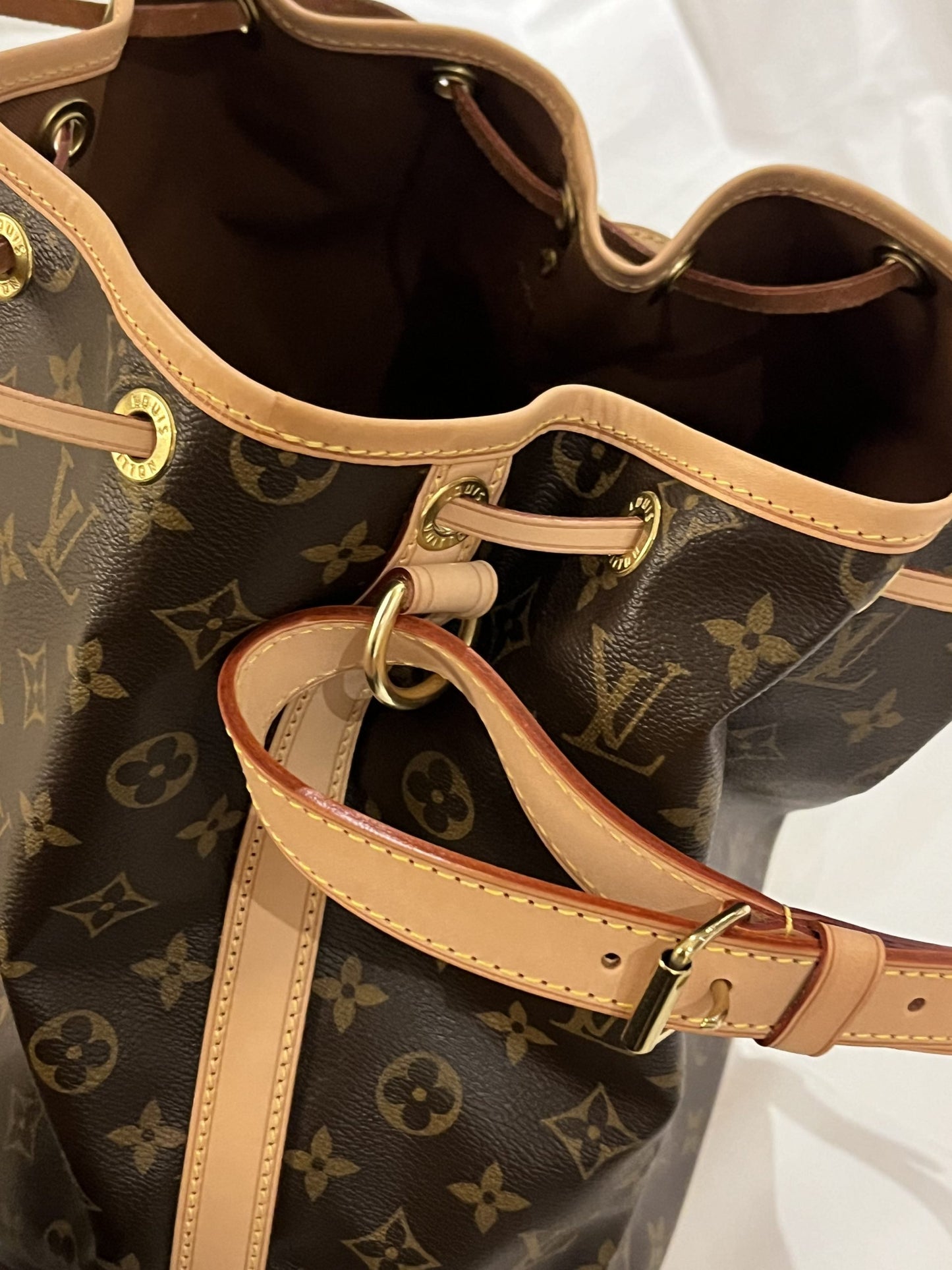 Louis Vuitton Noé Monogram Bucket Bag