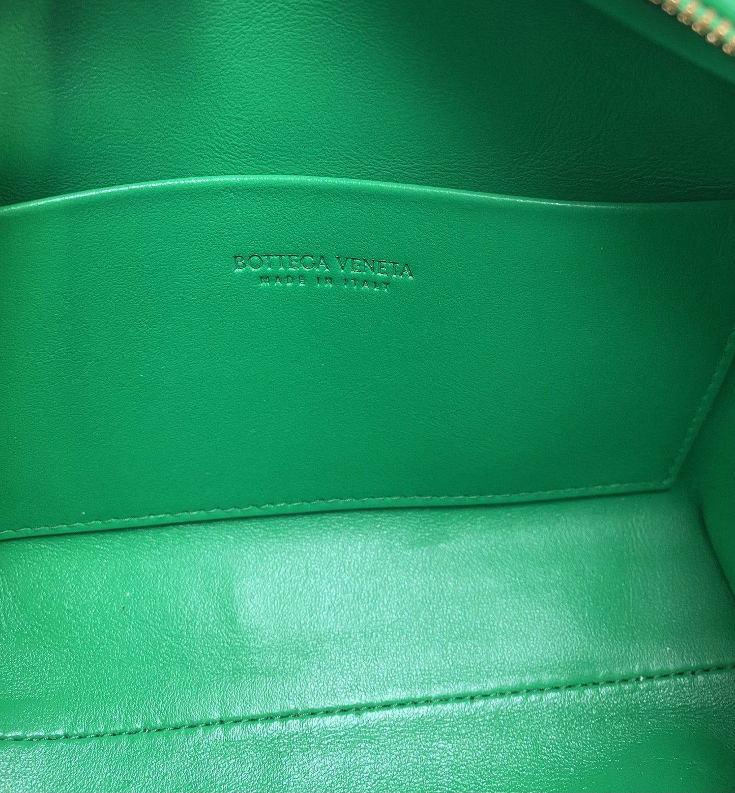 Bottega Veneta Mini Loop Camera Bag Parakeet Green